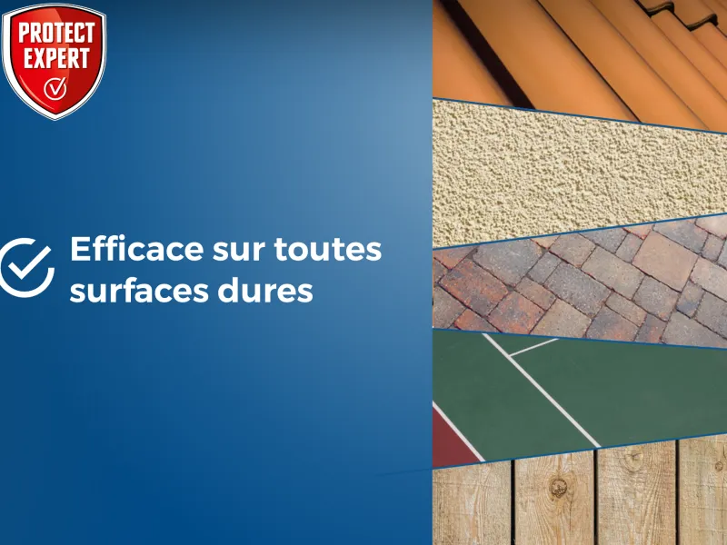 PROTECT EXPERT Anti-algues et dépôts verts concentré 1L