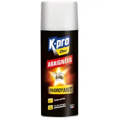Online K.PRO Aérosol fourdoyant spécial araignées 400ml