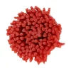 Online NORTON Brosse Ø 25 pour perceuse, pinceau nylon rouge, bois
