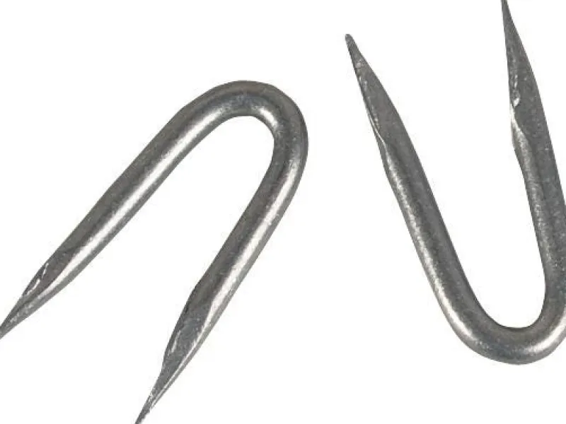 Outlet PATURA Crampillons galvanisés 3,8 x 38 mm 1 kg