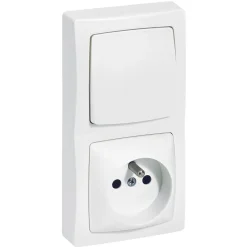 Discount LEGRAND Interrupteur ASL 2 postes + terre complet vertical