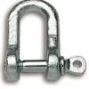 Best CHAPUIS Manille droite piton à oeil axe 9mm