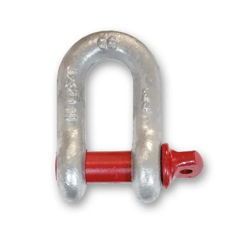 Outlet CHAPUIS Manille droite piton à oeil HR axe 19mm