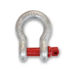 Best CHAPUIS Manille lyre piton à oeil axe Ø19 mm