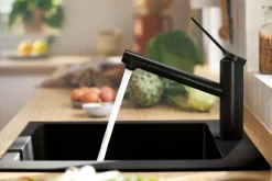 HANSGROHE Mitigeur de cuisine 150 1jet noir