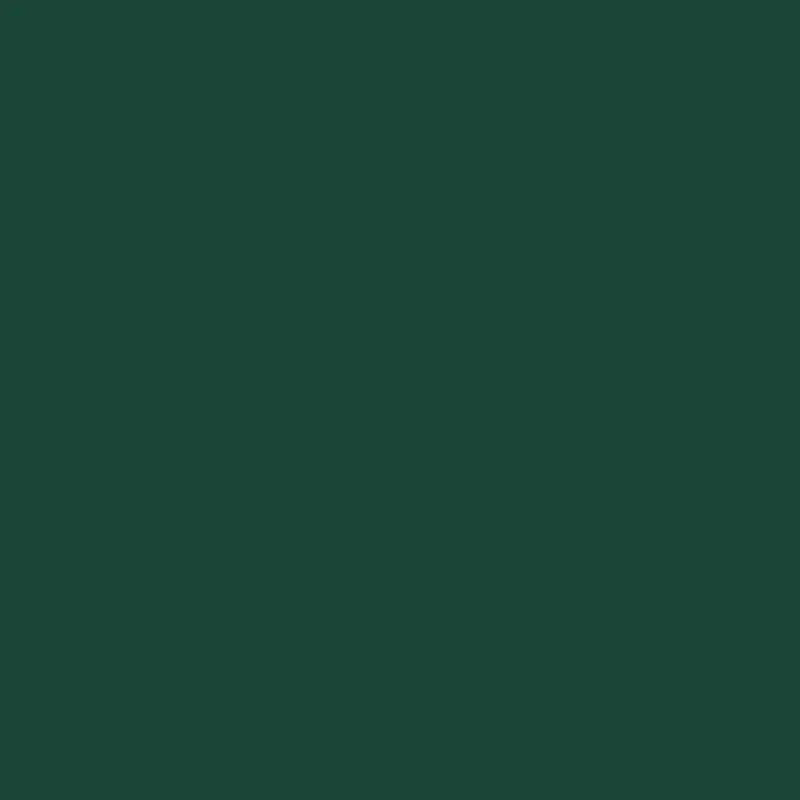 DULUX VALENTINE Peinture aérosol color touch brillant vert basque 400ml