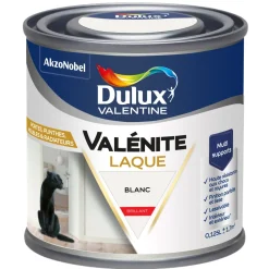 Outlet DULUX VALENTINE Peinture laque acrylique Valénite Blanc Brillant 125ml