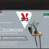 New V33 Peinture multisupports Satin Colorissim gris acier 2,5L