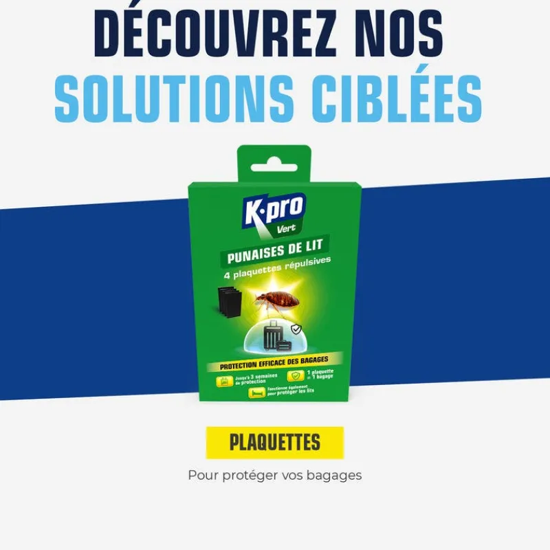 Hot Piège contre les punaises de lit (x4)