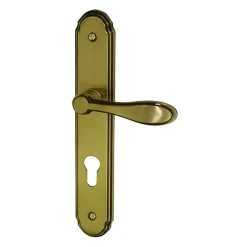 Discount Poignée de porte sur plaque avignon acier cylindre 195mm
