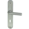 Best Poignée de porte sur plaque écume inox serrure 195mm