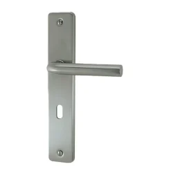 Online Poignée de porte sur plaque easy inox mat serrure 195mm