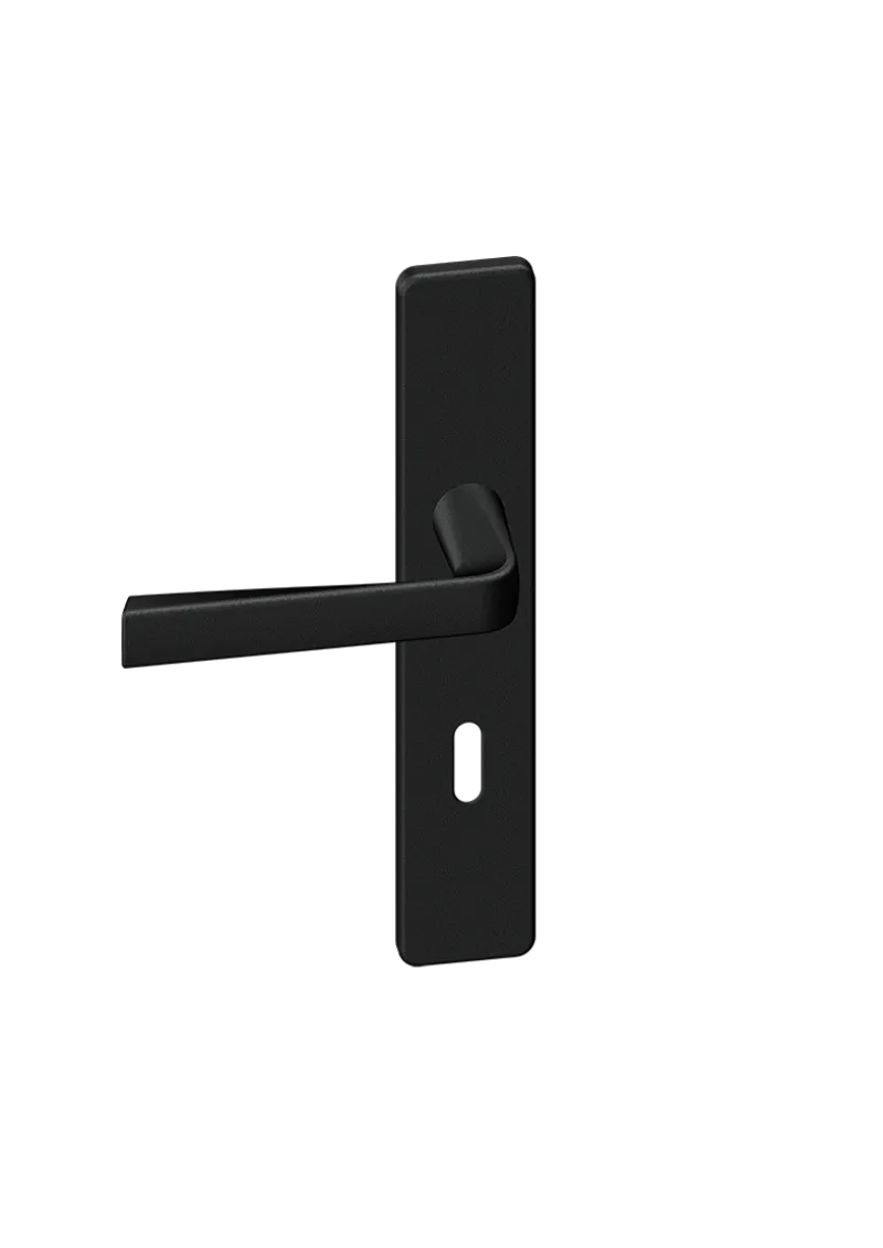 Discount Poignée de porte sur plaque Kaza Finition Basalt noir Clé L