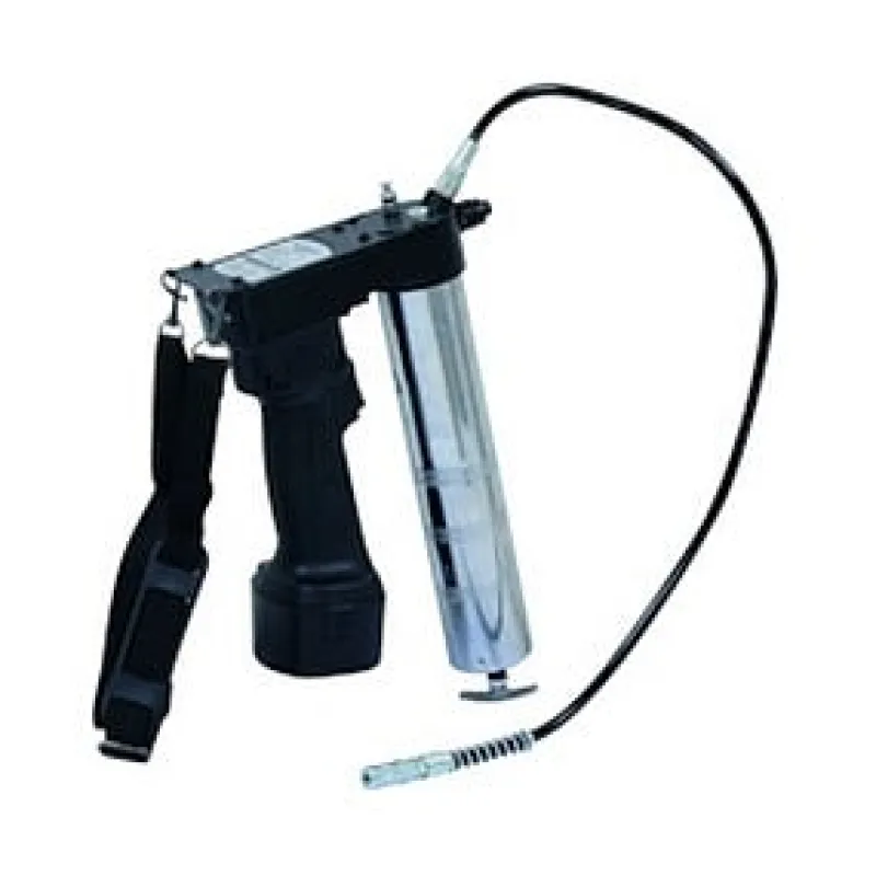 Sale Pompe à graisse 12V sur batterie
