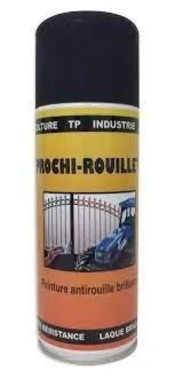 Sale Prochi-rouille noir mat 400 ml