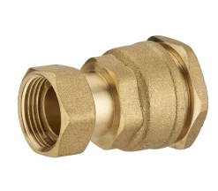 NOYON & THIEBAULT Raccord laiton pr tuyau polyéthylèn.fem.écrou libre F3/4 D25
