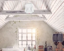 Online Répulsif sons solidiens et vibrations