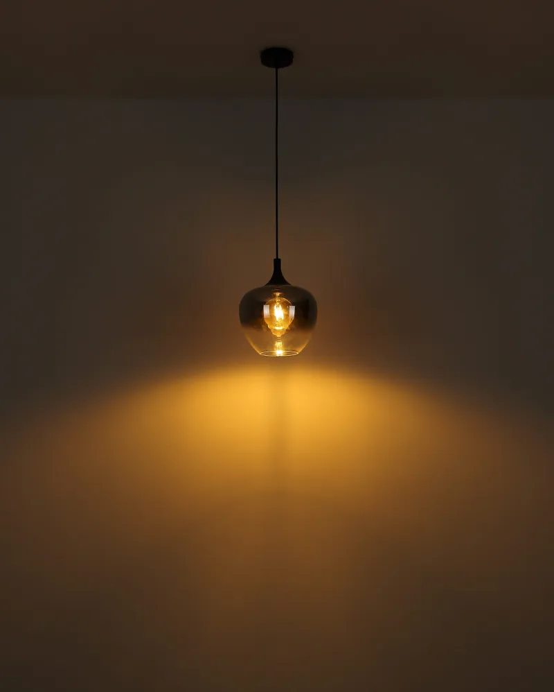 GLOBO Suspension métal noir mat verre 40W E27 maxy
