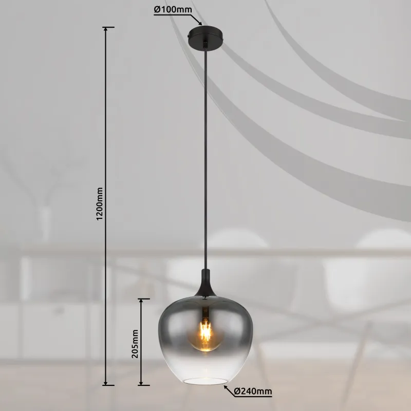 GLOBO Suspension métal noir mat verre 40W E27 maxy