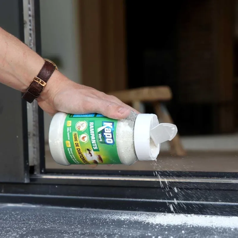 K.PRO Terre de diatomée spécial insectes rampants 100g