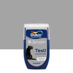 Hot DULUX VALENTINE Testeur de Peinture Si Simple ! Gris Foncé 30 ml