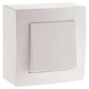 Hot ZENITECH Va-et-vient 10A saillie presto blanc